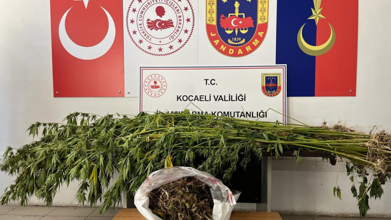 Gebze’de jandarmadan uyuşturucu operasyonu